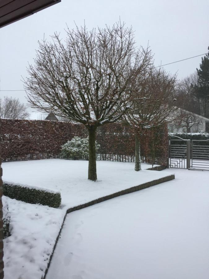 Artemis Villa Ronse Eksteriør bilde