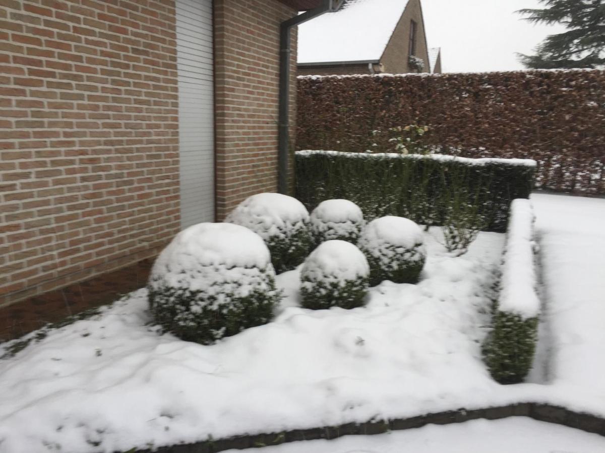 Artemis Villa Ronse Eksteriør bilde