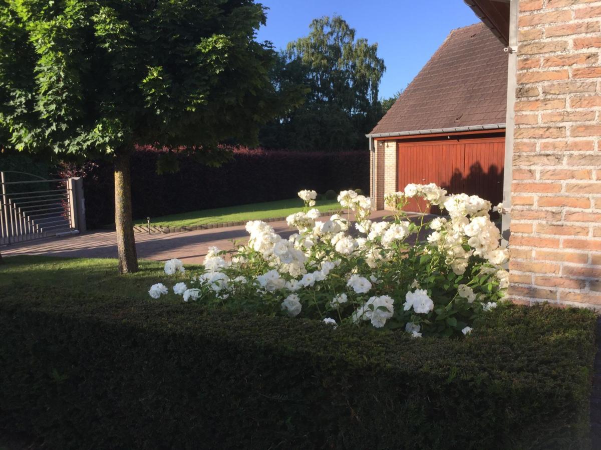 Artemis Villa Ronse Eksteriør bilde